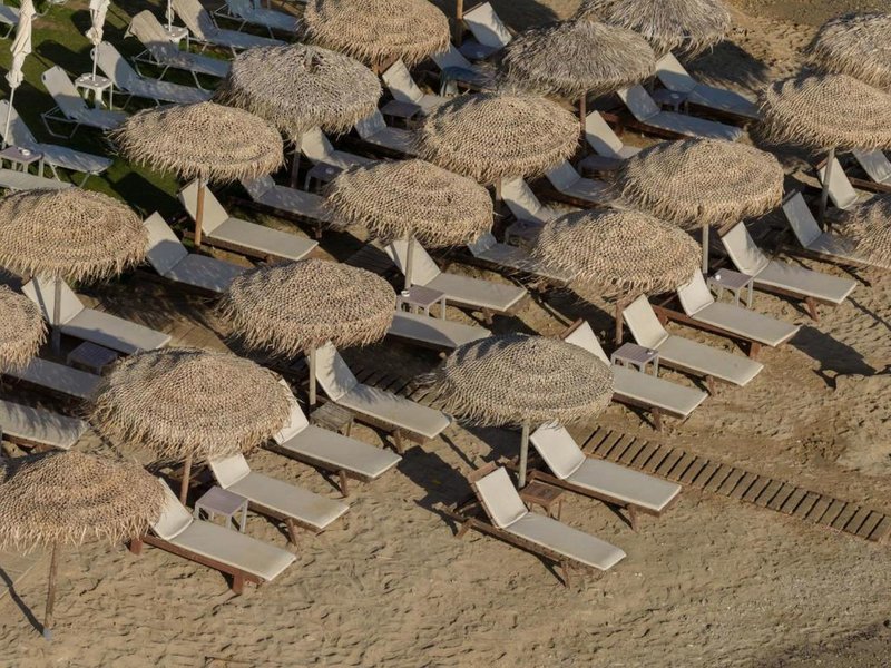 Golden Coast Suites in Kypseli, Zakynthos Tiere