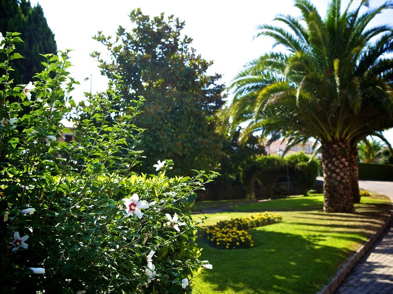 Severino José in Tondela, Porto Garten