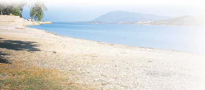 Aris Villas in Lygia, Preveza (Epiros/Lefkas) Strand