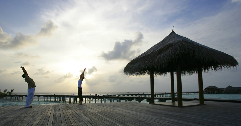 Wellness
