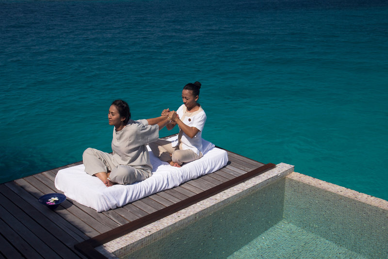 Wellness
