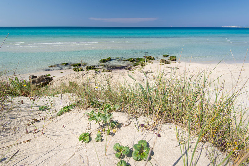 Strand