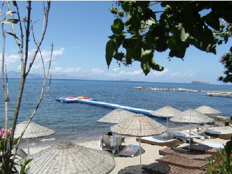 Strand