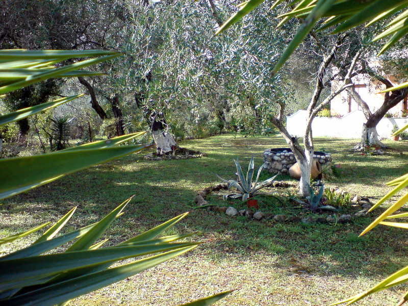 Reggis Apartments in Kato Korakiana, Korfu Garten