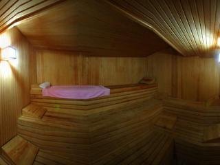 Wellness