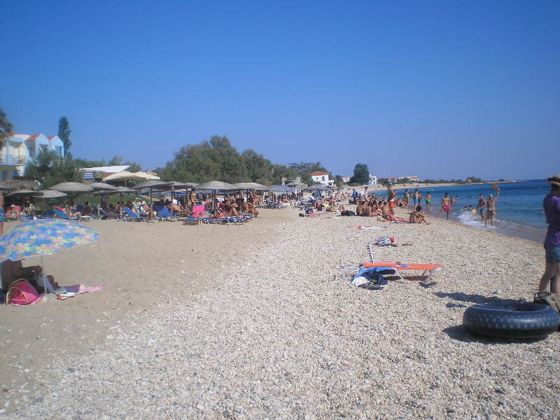 Albatros in Agios Isidoros, Mytilene (Lesbos) Strand