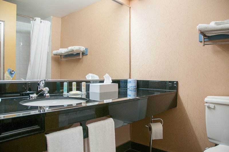 LeLux Hotel in Montreal, Montreal (Trudeau) Badezimmer