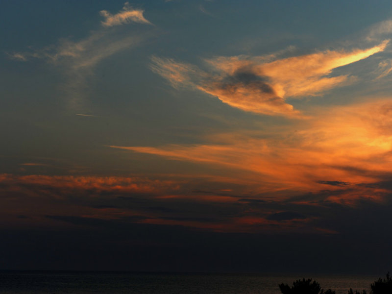 Landschaft