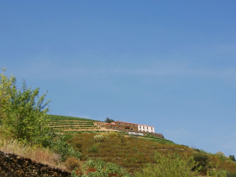 Landschaft
