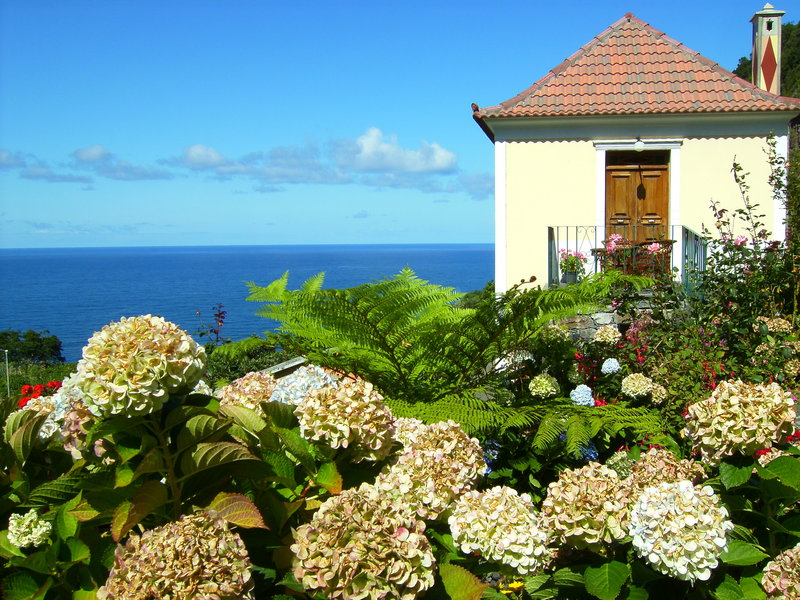 Casa das Hortensias in Arco de Sao Jorge, Funchal (Madeira) Außenaufnahme
