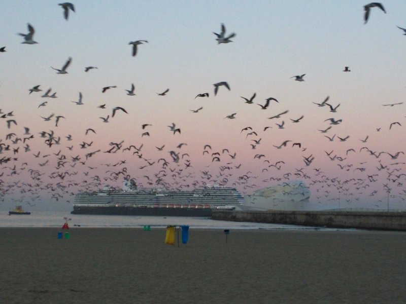 Strand