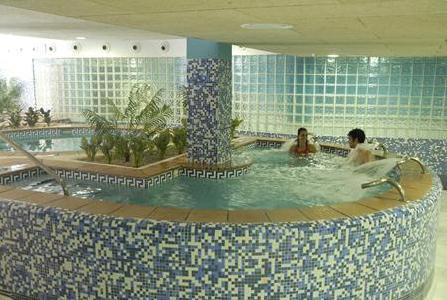 Wellness