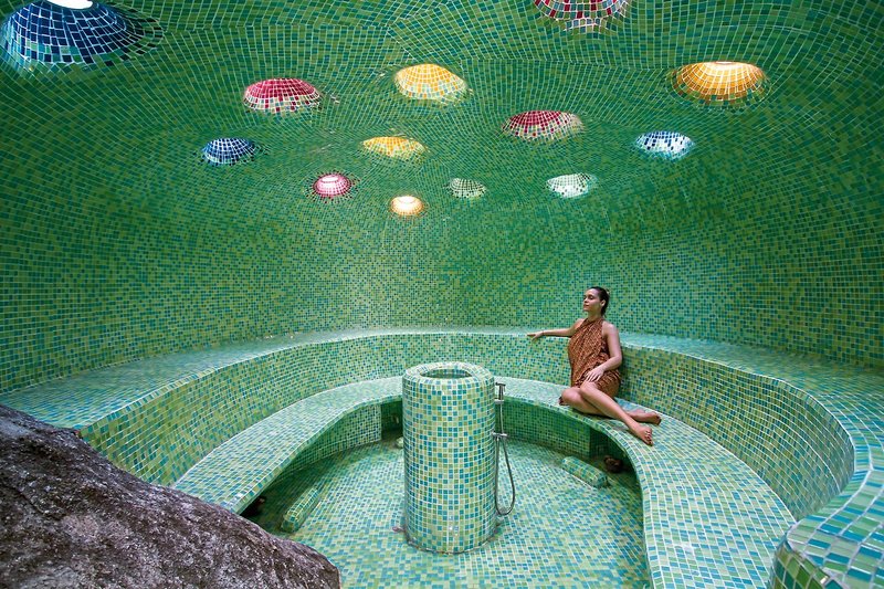 Wellness