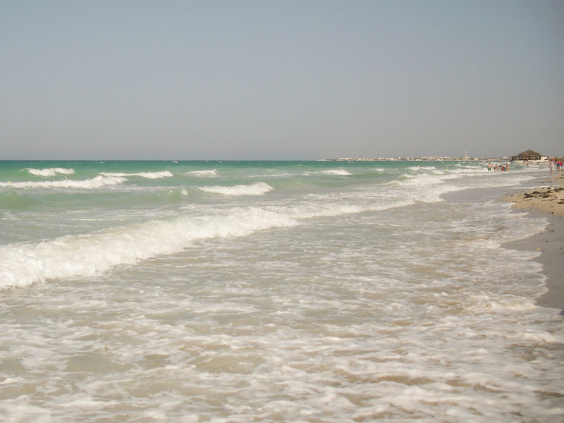 Bougainvilliers in Insel Djerba, Djerba (Tunesien) Strand