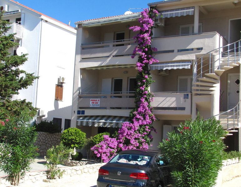 House Cvetka in Novalja, Zadar (Kroatien) Außenaufnahme