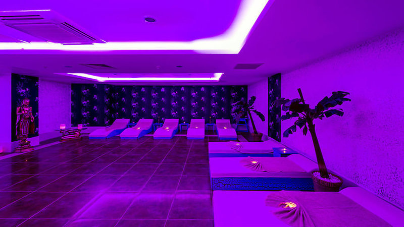 Wellness