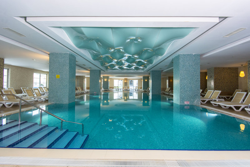 Wellness