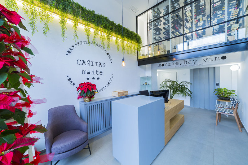 Hotel Cañitas Maite in Albacete, Madrid Lounge/Empfang