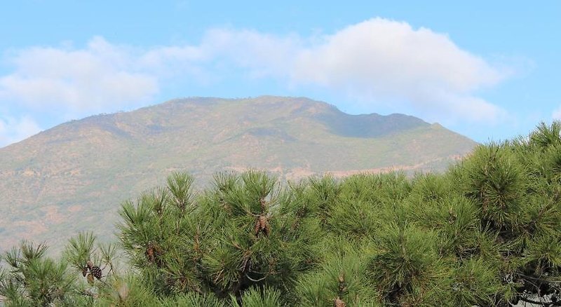 Los Jarales in Istán, Malaga Landschaft