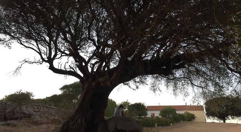 La Striscia Larga in San Pasquale, Olbia,Sardinien Landschaft