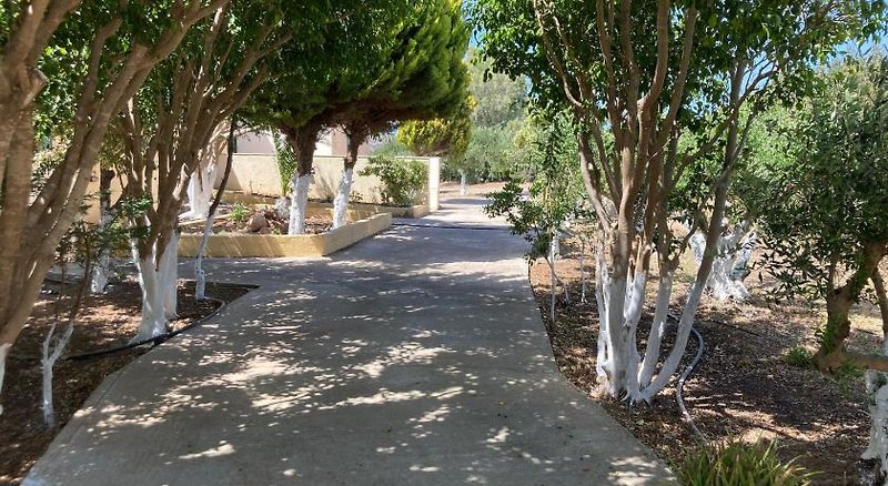 Rousolakos Bungalows inklusive Mietwagen in Palekastro, Heraklion (Kreta) Garten