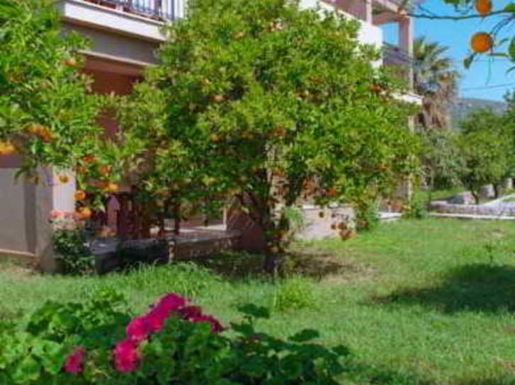 Efrosini Village in Katelios, Kefalonia Außenaufnahme