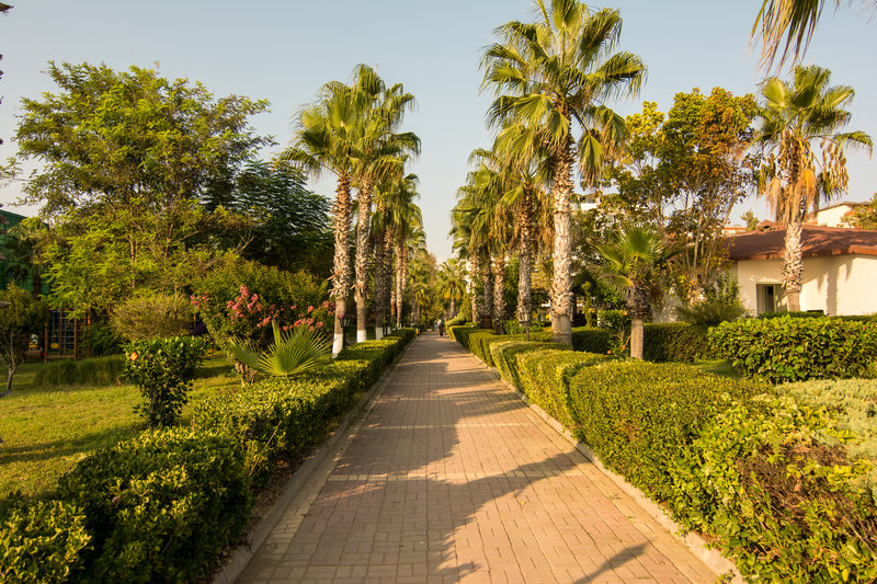 Garten