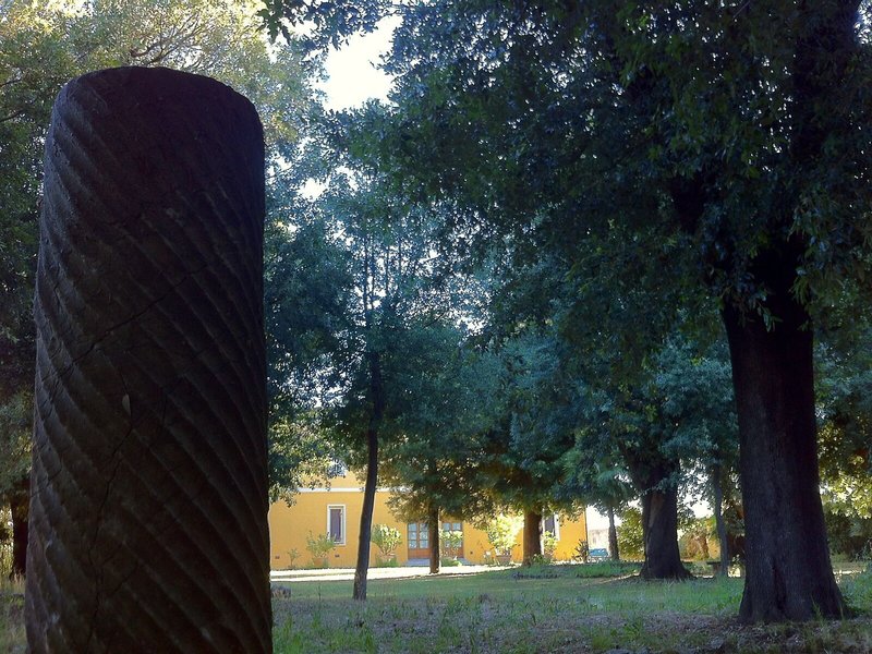 Agriturismo Villa Graziani in Rosignano Marittimo, Florenz Landschaft