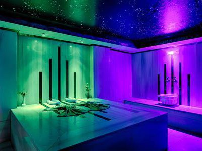 Wellness