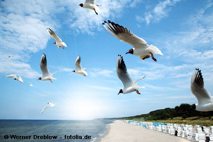 Landhotel Rügen in Samtens, Außenaufnahme