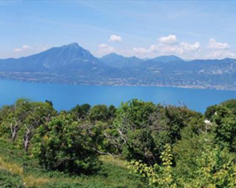 Landschaft