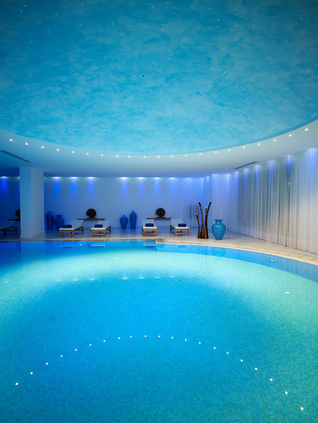 Wellness