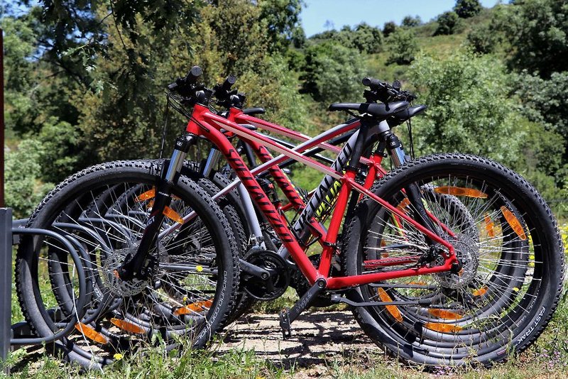 Encosta Do Sobreiro - Serra Da Estrela in Fornos de Algodres, Lissabon Sport und Freizeit