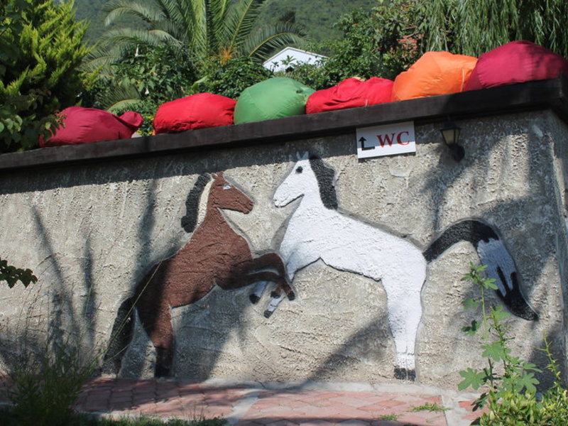Tiere