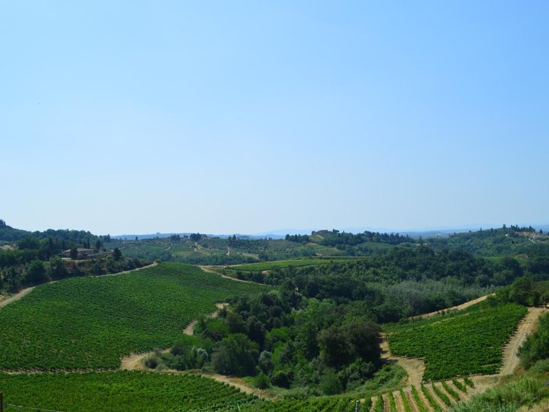 Fattoria il Bacio in Certaldo, Florenz Landschaft