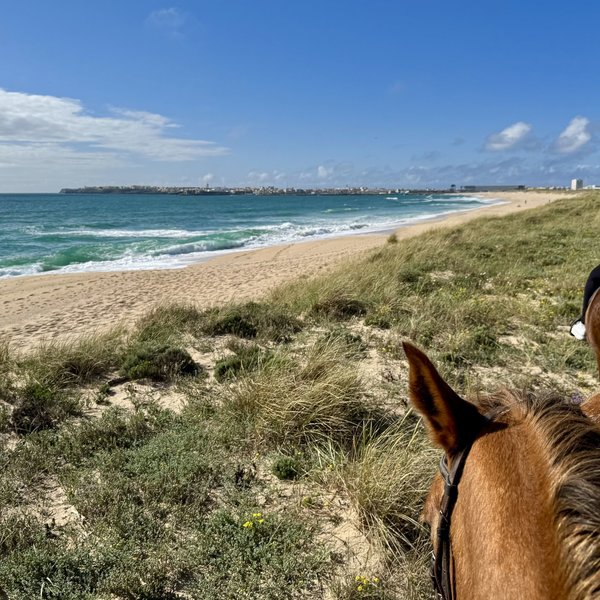 Silver Seahorse Garden Retreat in Peniche, Lissabon Strand