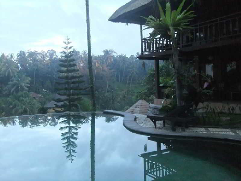 Graha Moding in Ubud, Denpasar (Bali) Pool