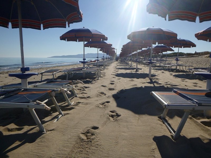 Strand