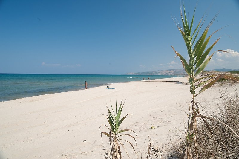 Strand