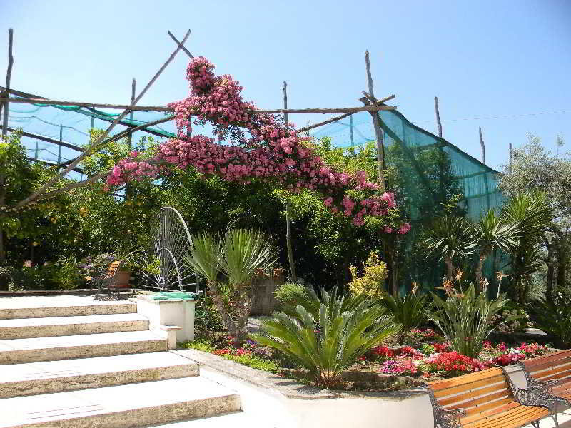 Oasi Madre della Pace - Bed and Breakfast Sorrento in Sorrent, Neapel Garten