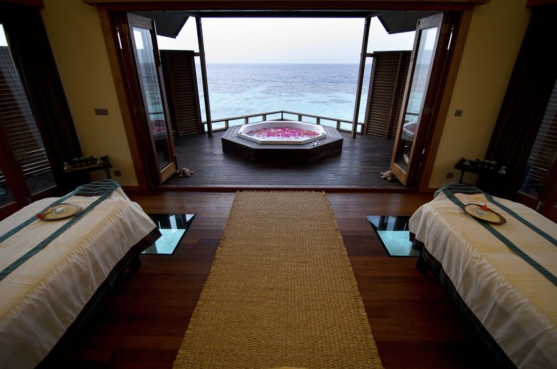 Wellness