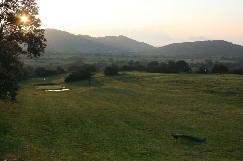 Landschaft