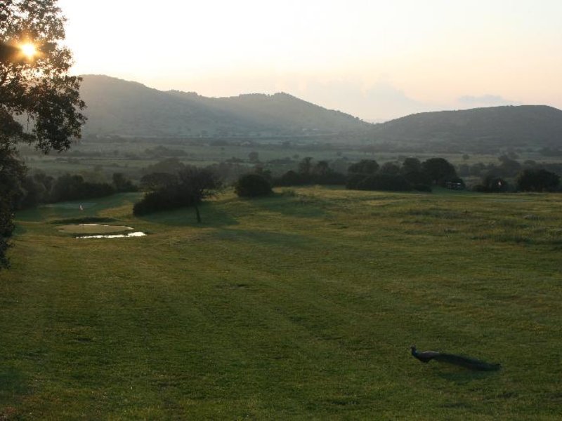 Landschaft