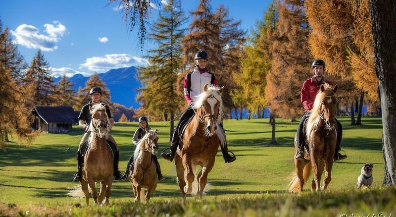 Gasthof zum Hirschen in Jenesien, Sport und Freizeit