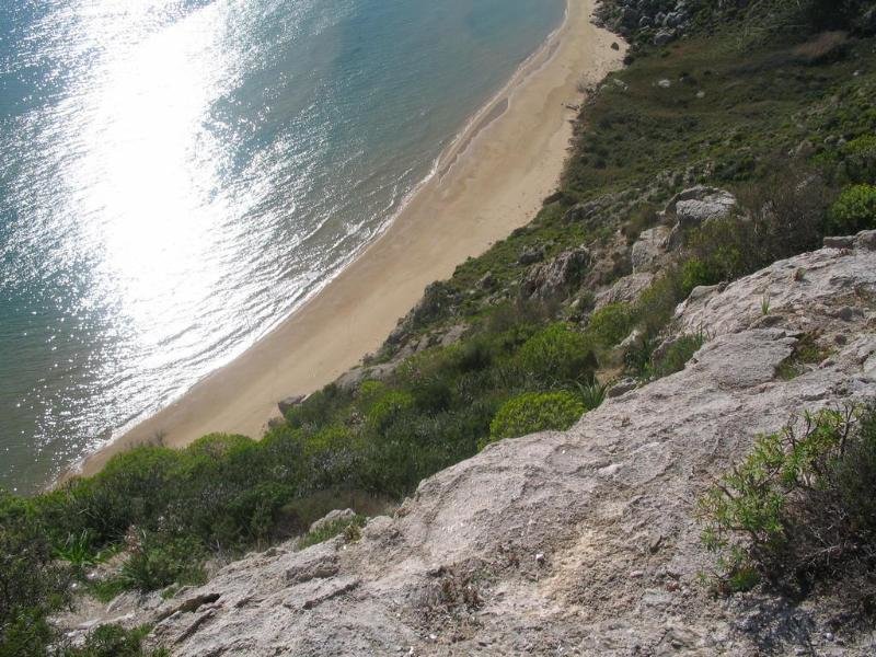 Landschaft