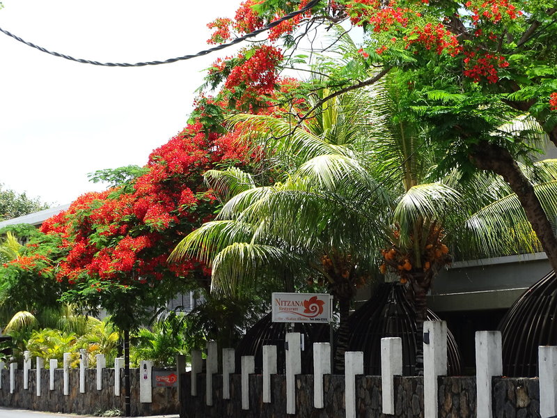 Nitzana Mauritius in Cap Malheureux, Port Louis, Mauritius Außenaufnahme