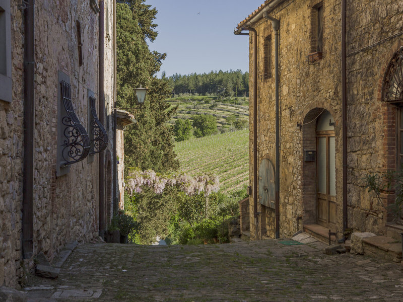 Castello Di Fonterutoli in Castellina in Chianti, Pisa Außenaufnahme
