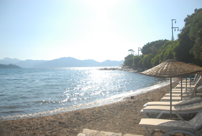 Strand