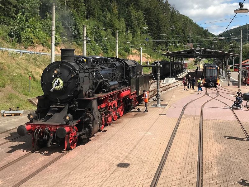 Kull von Schmidsfelden in Bad Herrenalb, Stuttgart (DE) Tiere