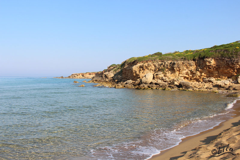 Strand